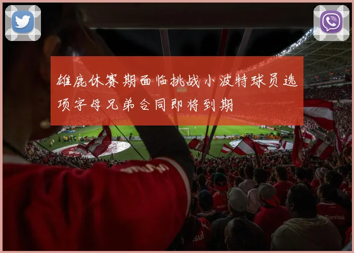雄鹿休赛期面临挑战小波特球员选项字母兄弟合同即将到期